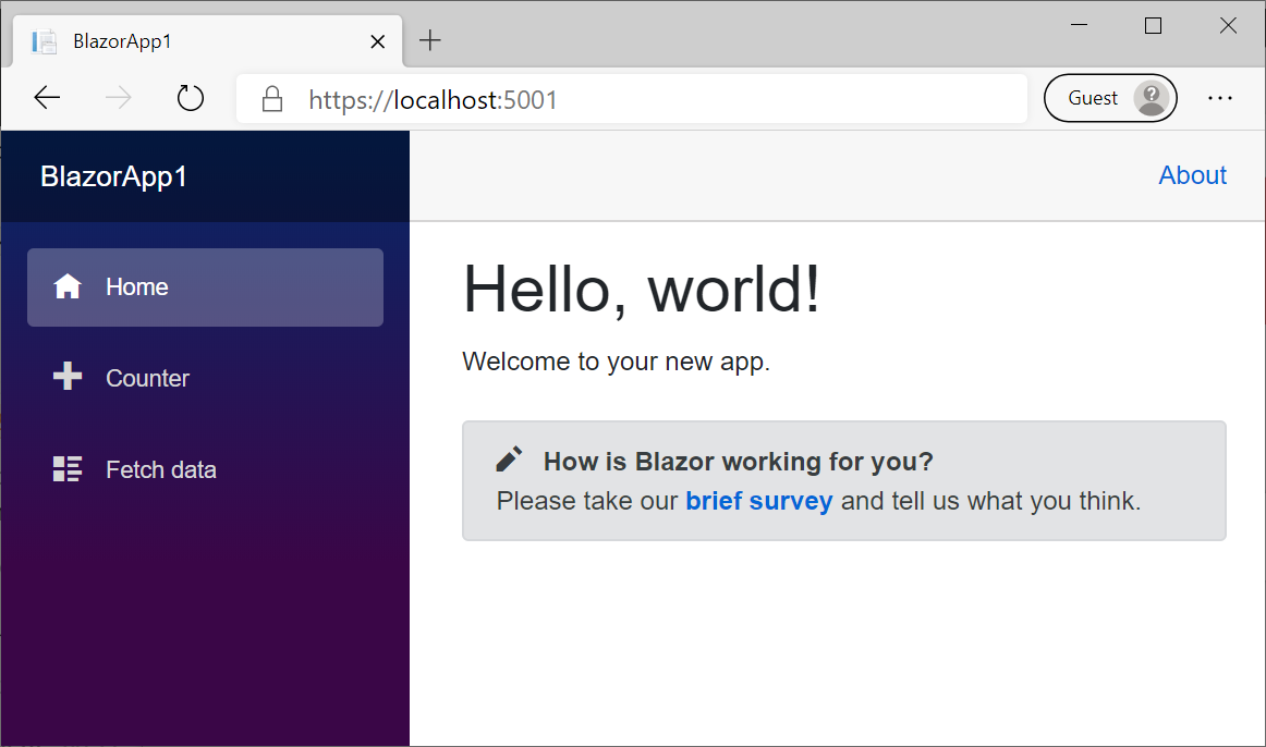 Running Blazor WebAssembly app