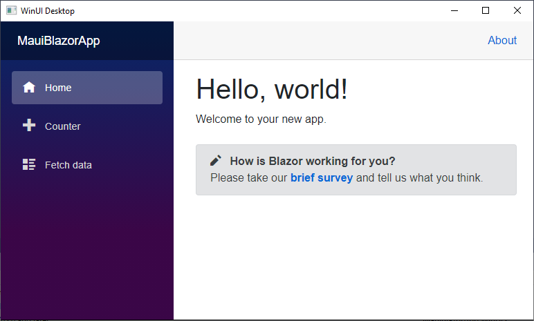 .NET MAUI Blazor app running on Windows