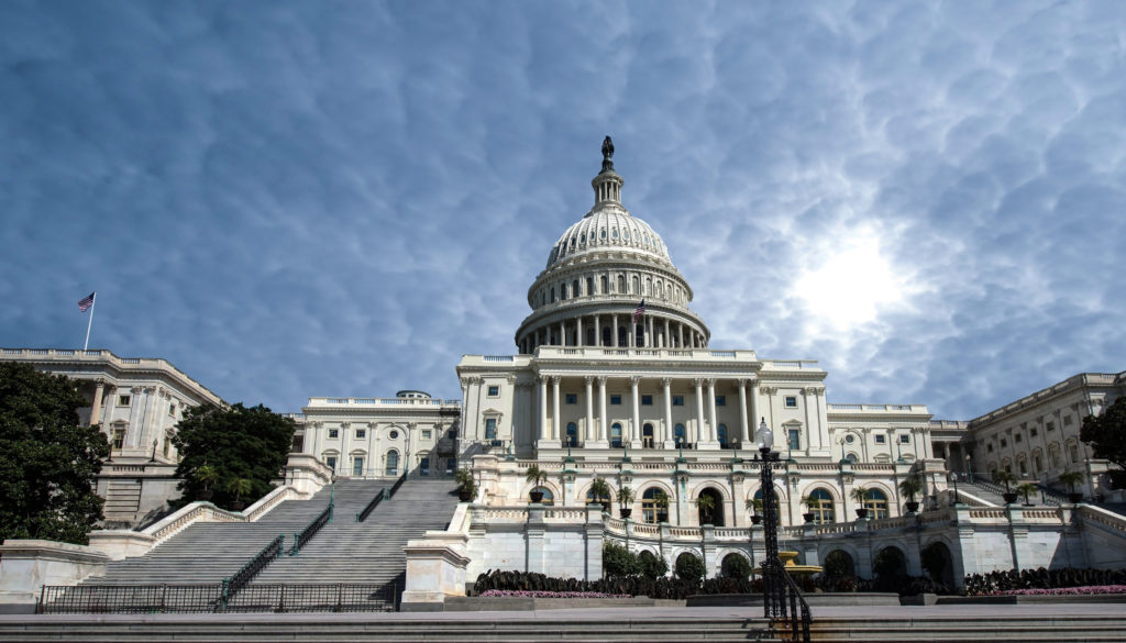 503 Washington Nationals Cap Stock Photos, High-Res Pictures, and Images -  Getty Images