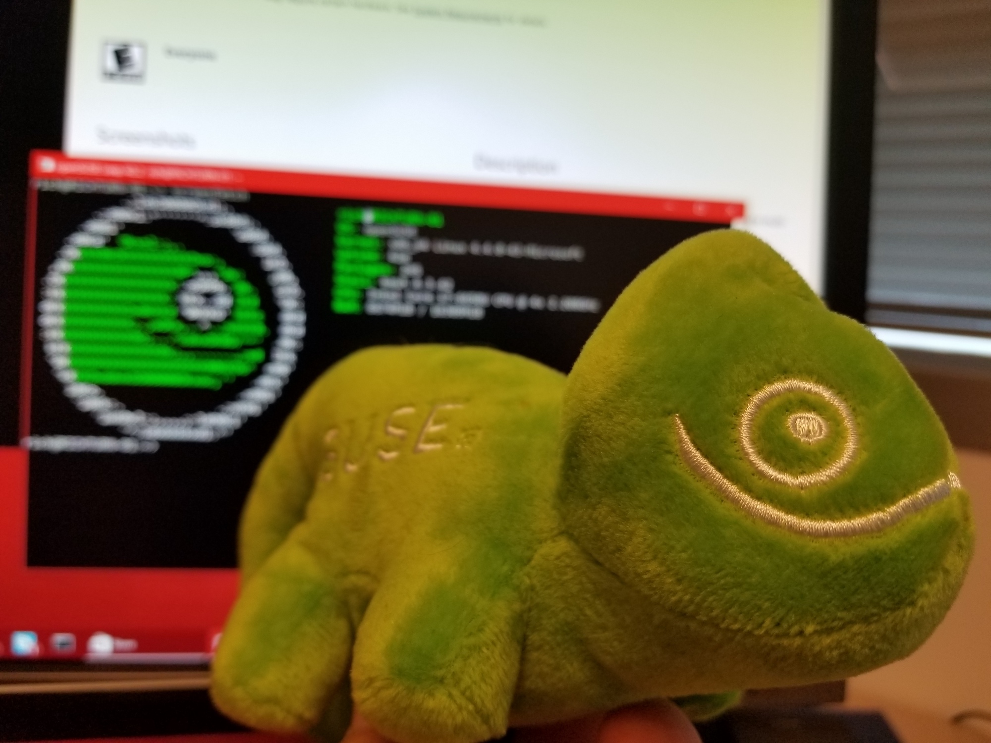 Install Opensuse Alongside Windows