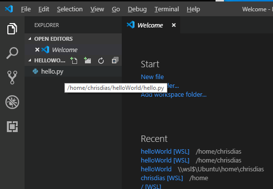 The VSCode IDE using Linux paths