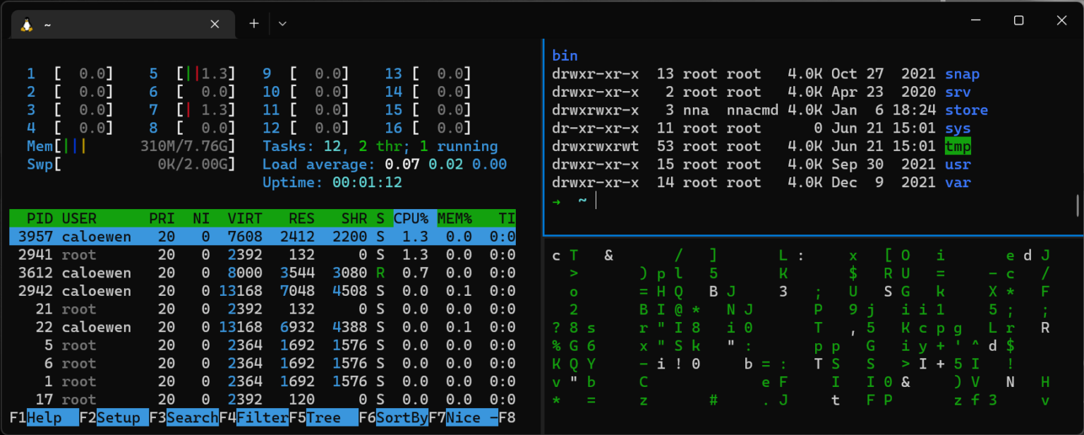 WSL 2 distros are now supported on Windows Server - Windows Command Line