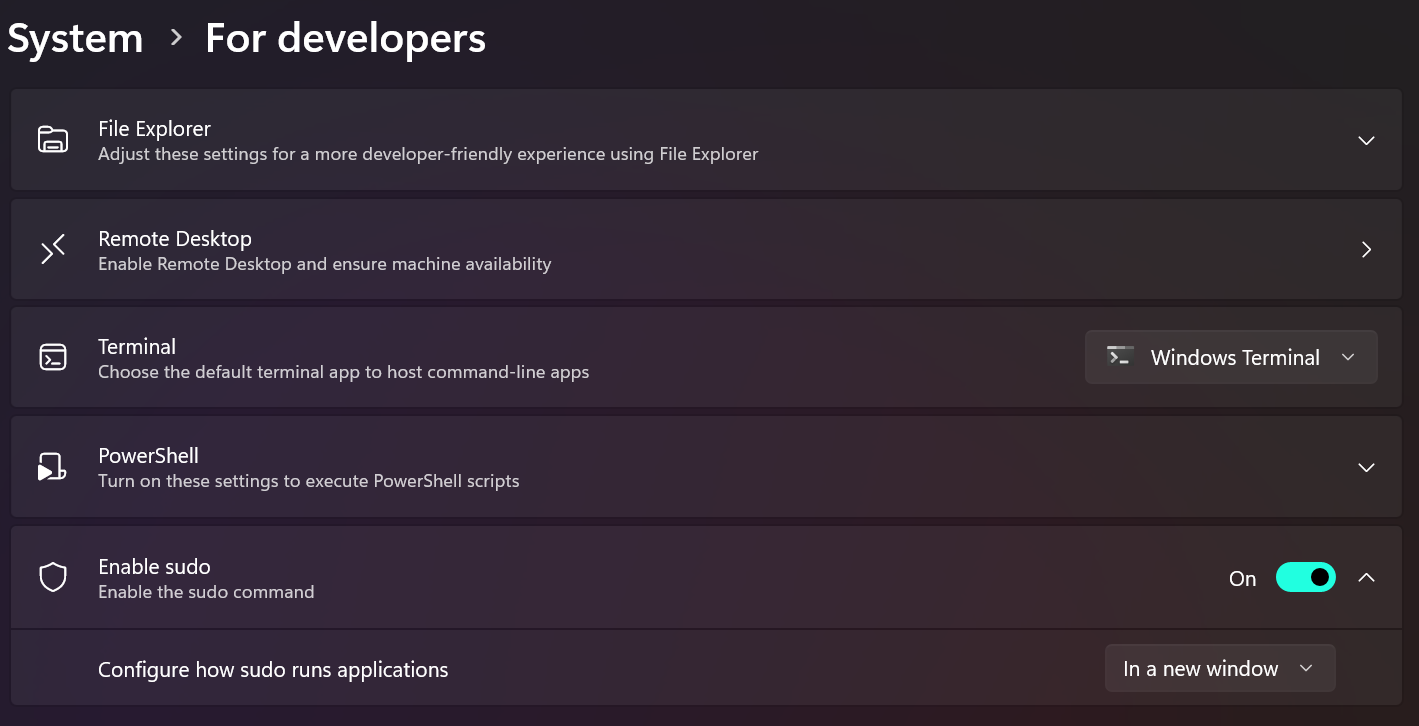 For Developer Settings