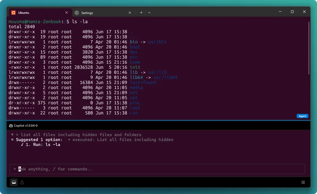 wsl image
