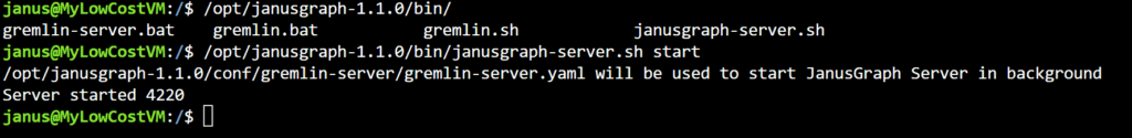 Once you've created the property file, start the JanusGraph server from the /opt/janusgraph-1.1.0/bin/ directory.