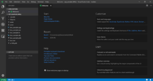 New sidebar icon and WSL connection displayed in development bottom bar