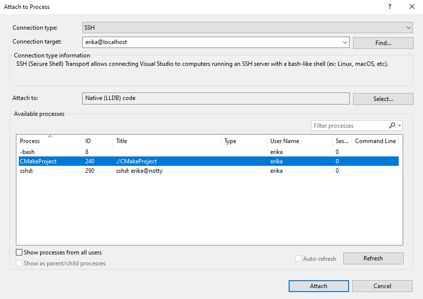 Attach to a Remote Process with LLDB in Visual Studio 2022 Preview 3 - C++  Team Blog