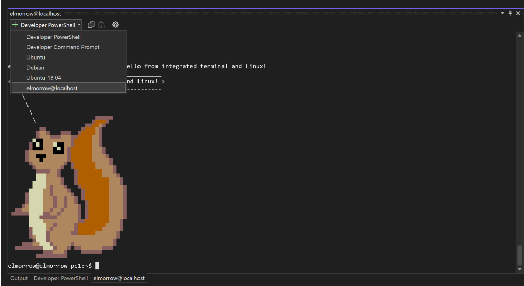 Screenshot of SSH dropdown in Integrated Terminal