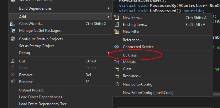 IDE doesn't start when click to C++ code class - C++ - Epic