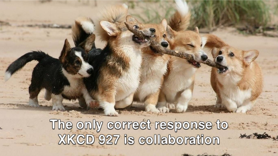 Adapted from "Corgis working as a team". (n.d.).