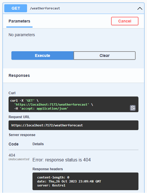 Swagger UI with 404
