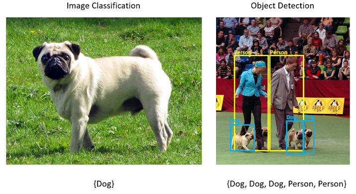 Image classification vs. object detection