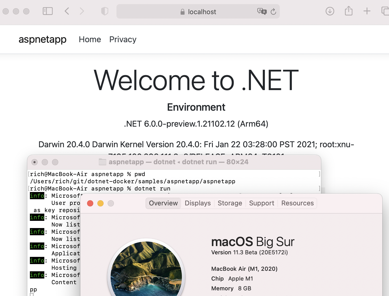 instal the new for apple Microsoft .NET Desktop Runtime 7.0.7