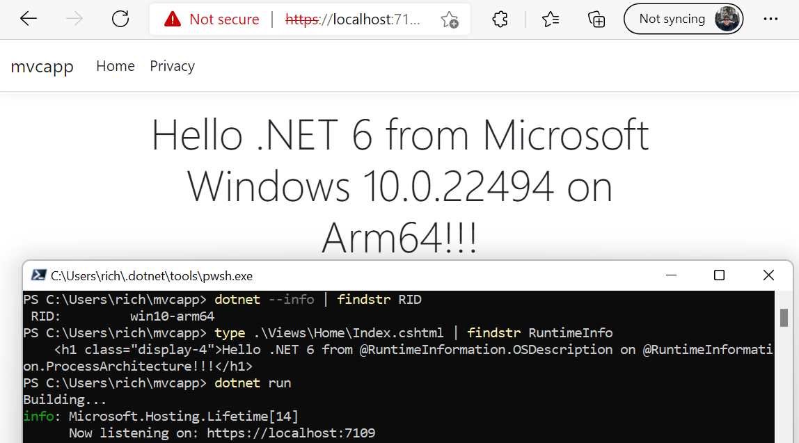 .NET 6 ASP.NET Core running on Windows Arm64, Announcing .NET 6 — The Fastest .NET Yet