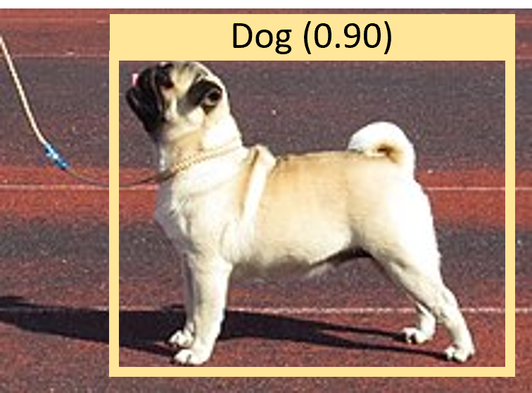 Picture of pug with bounding box