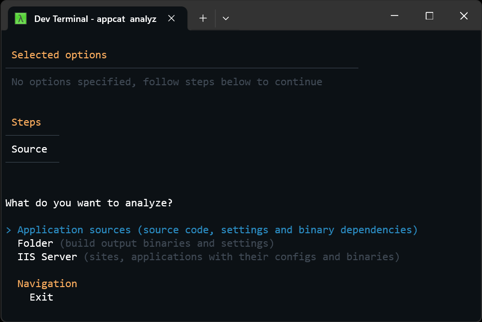 Screenshot of tool's UI for choosing whether to scan source, binaries, or IIS deployments