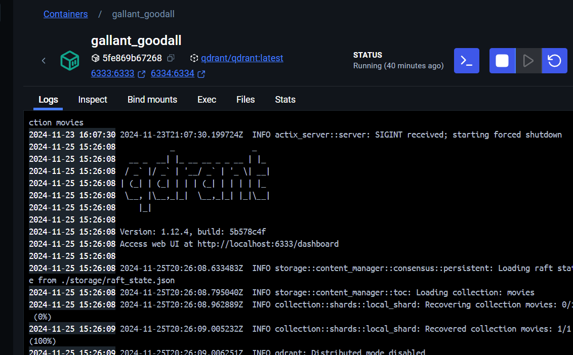 qdrant container running in docker