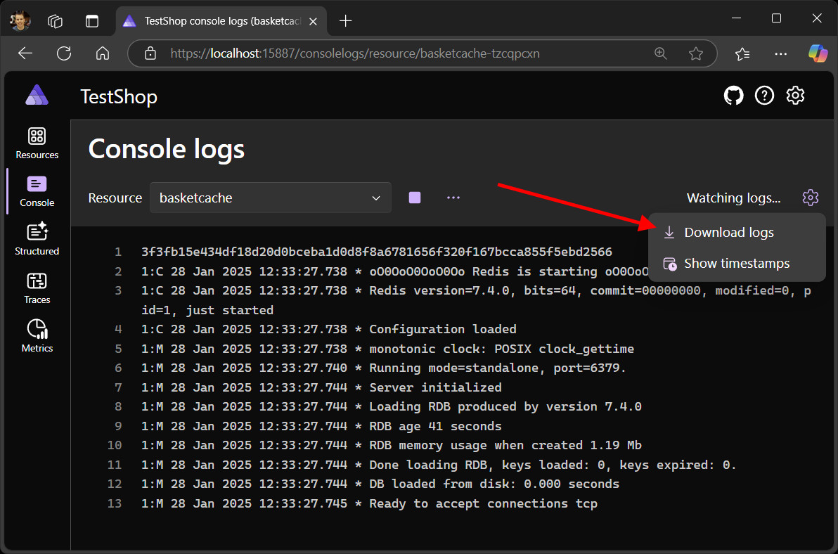 Screenshot of console logs page with download button, turn off timestamps button, and logs without timestamps.