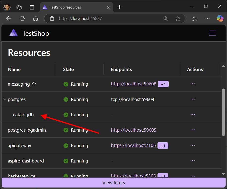 A screenshot of the .NET Aspire dashboard showing the Postgres resource with a database nested underneath it.