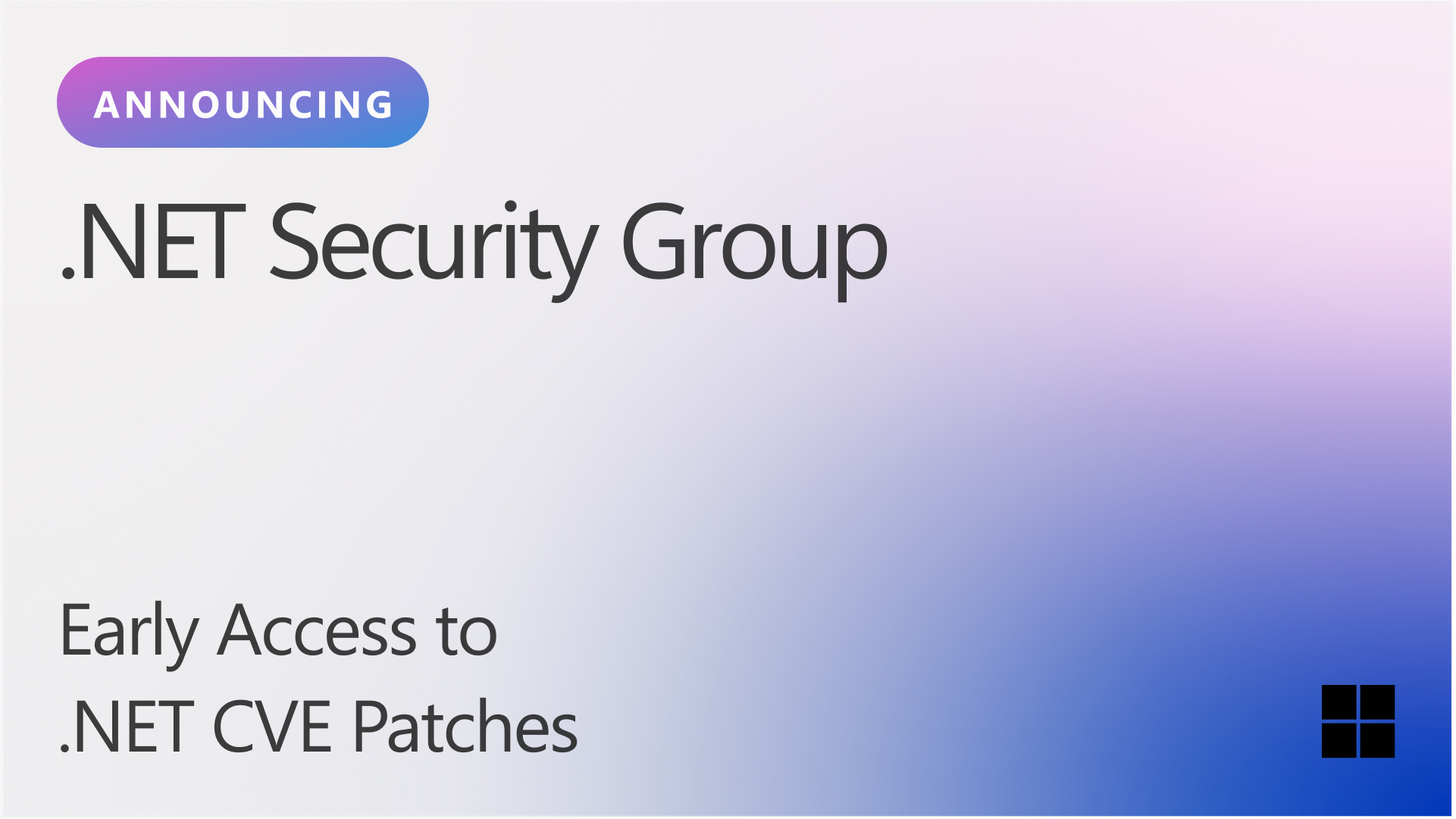 announcing dotnet security group jpg image