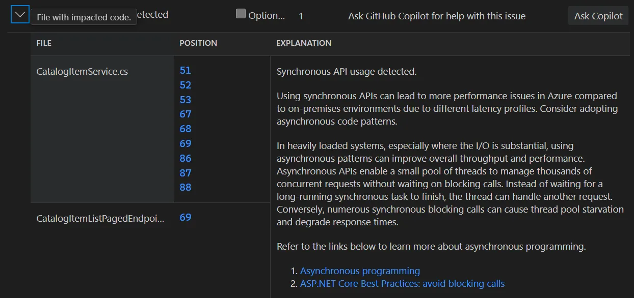 Expanded issue showing affected files, description, and remediation steps