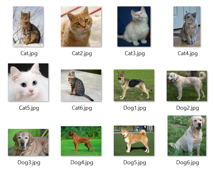 Images of Cats and Dogs