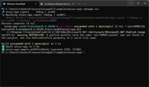 Terminal output for run command running in project mode.