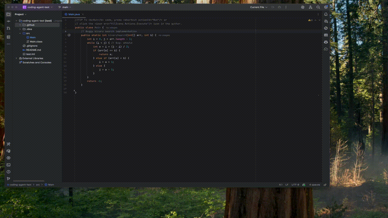 Custom Agent JetBrains