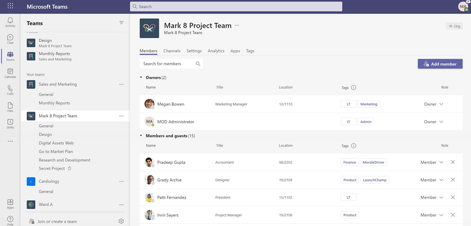 Image of project team within the Microsoft Teams ‘manage team’ setting showing tags as a field