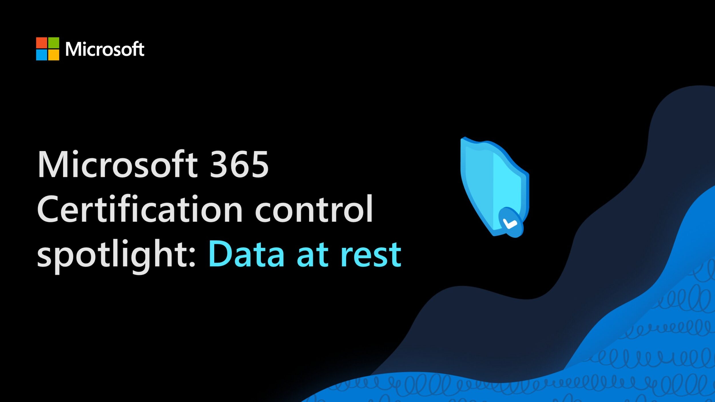 Microsoft 365 Certification control spotlight: Data at rest