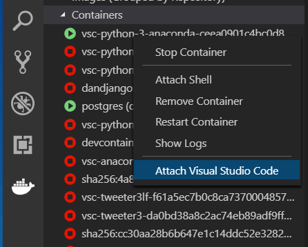 Attaching visual studio code to a container, using the Docker extension