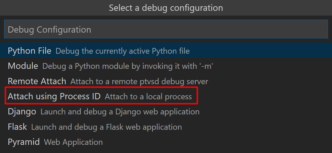Configuration options for debugger.