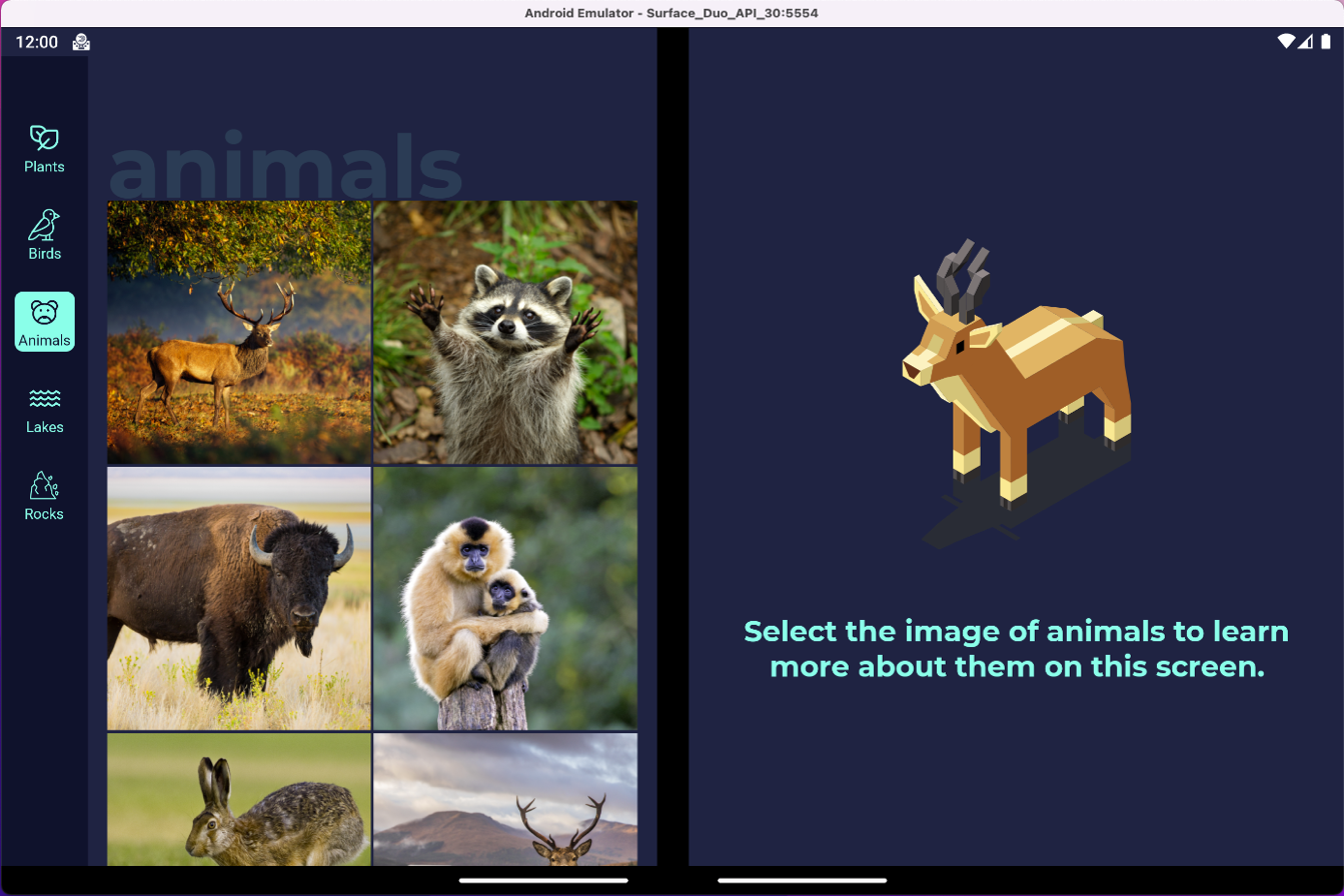 Surface Duo emulator showing Jetpack Compose sample with images of animals