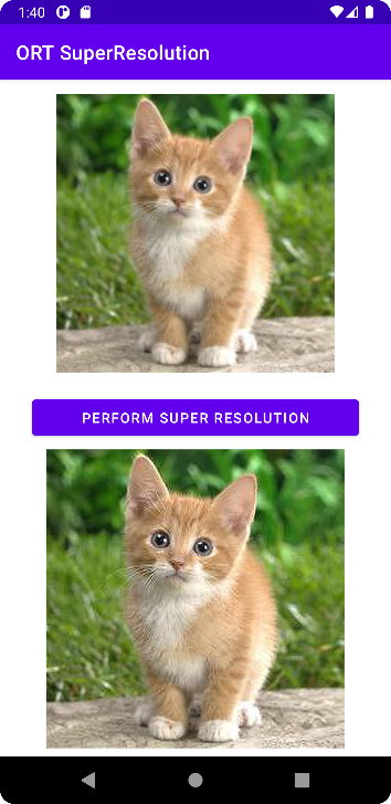 Super resolution on a cat