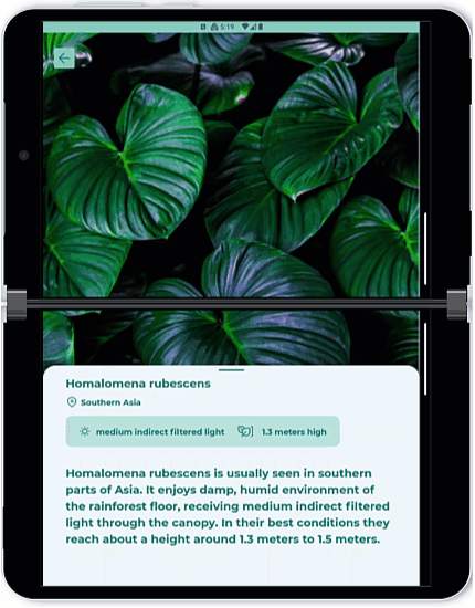A screen shot of a tablet

Description automatically generated with low confidence