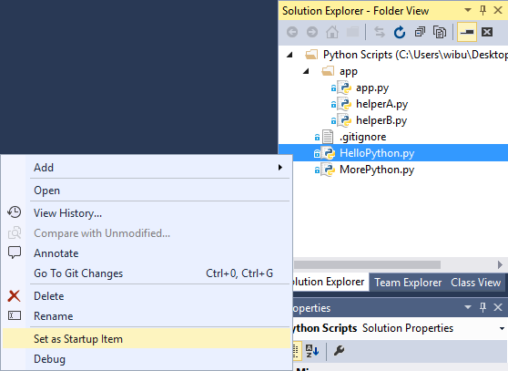 Solution Explorer Right Click Set Up As Startup Item