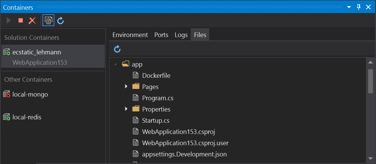 Container filesystem in Visual Studio