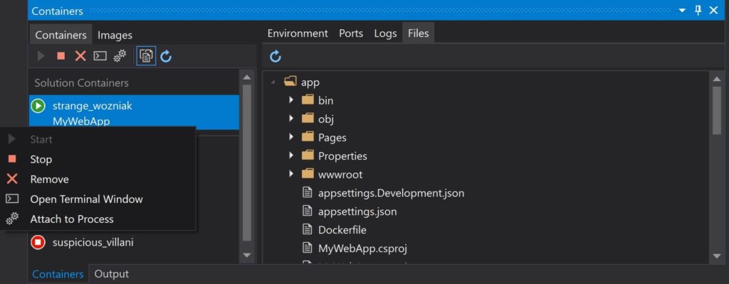Container Tools Window in Visual Studio 2019 v16.4
