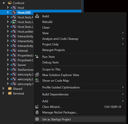 The context menu on the Host.EXE project, with the mouse hovered over 'Set as Startup Project'