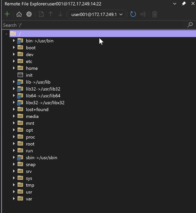 Visual Studio中具有文件夹层次结构的远程文件资源管理器窗口。