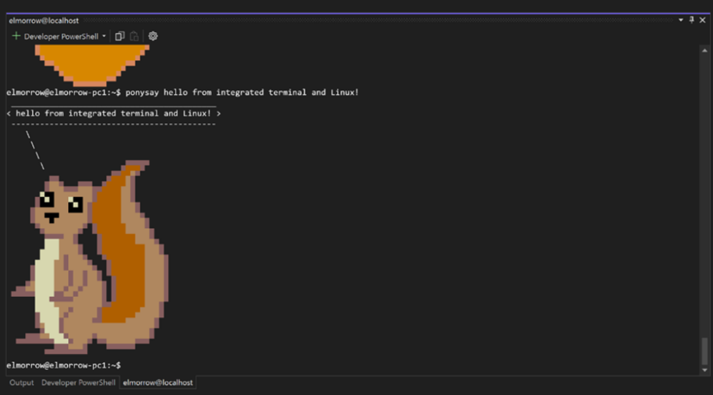 The integrated terminal showing a squirrel in color.