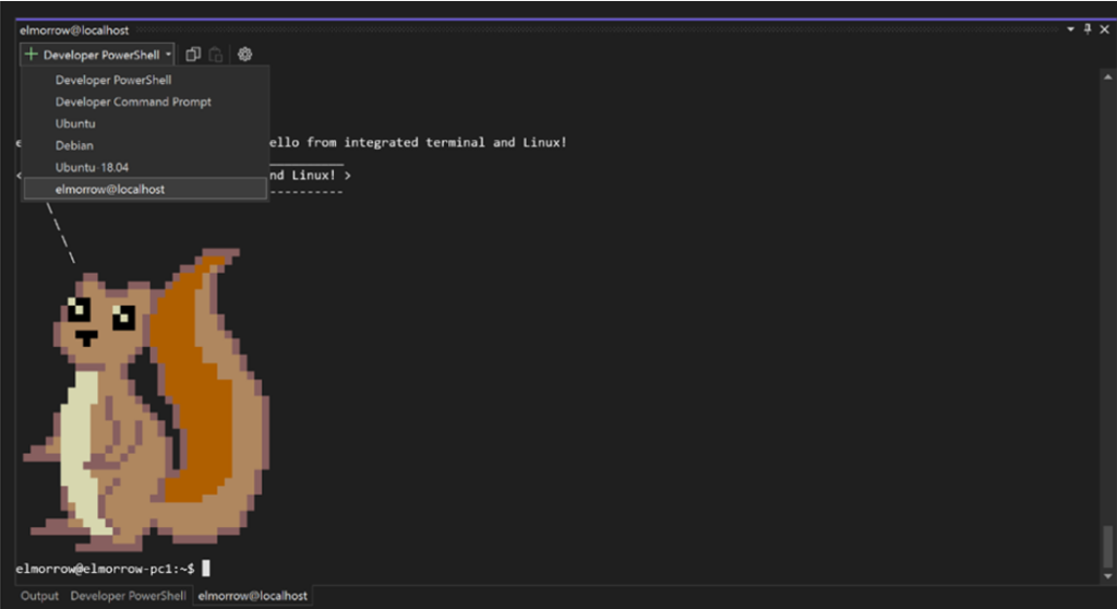 The target machine dropdown in the integrated terminal.