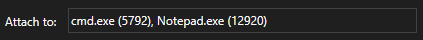A view of the text box containing the selected processes names including their process id's