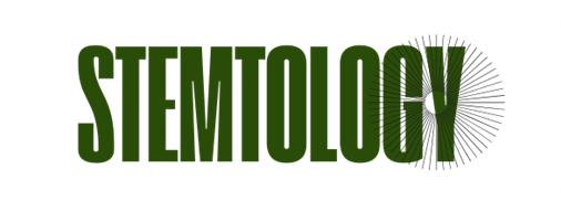 Stemtology company logo and branding