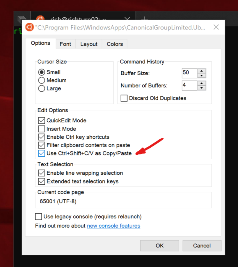 copy-and-paste-arrives-for-linux-wsl-consoles-windows-command-line