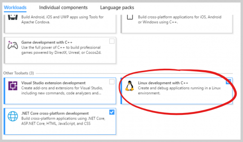 Visual Studio installer with Linux C++ workload