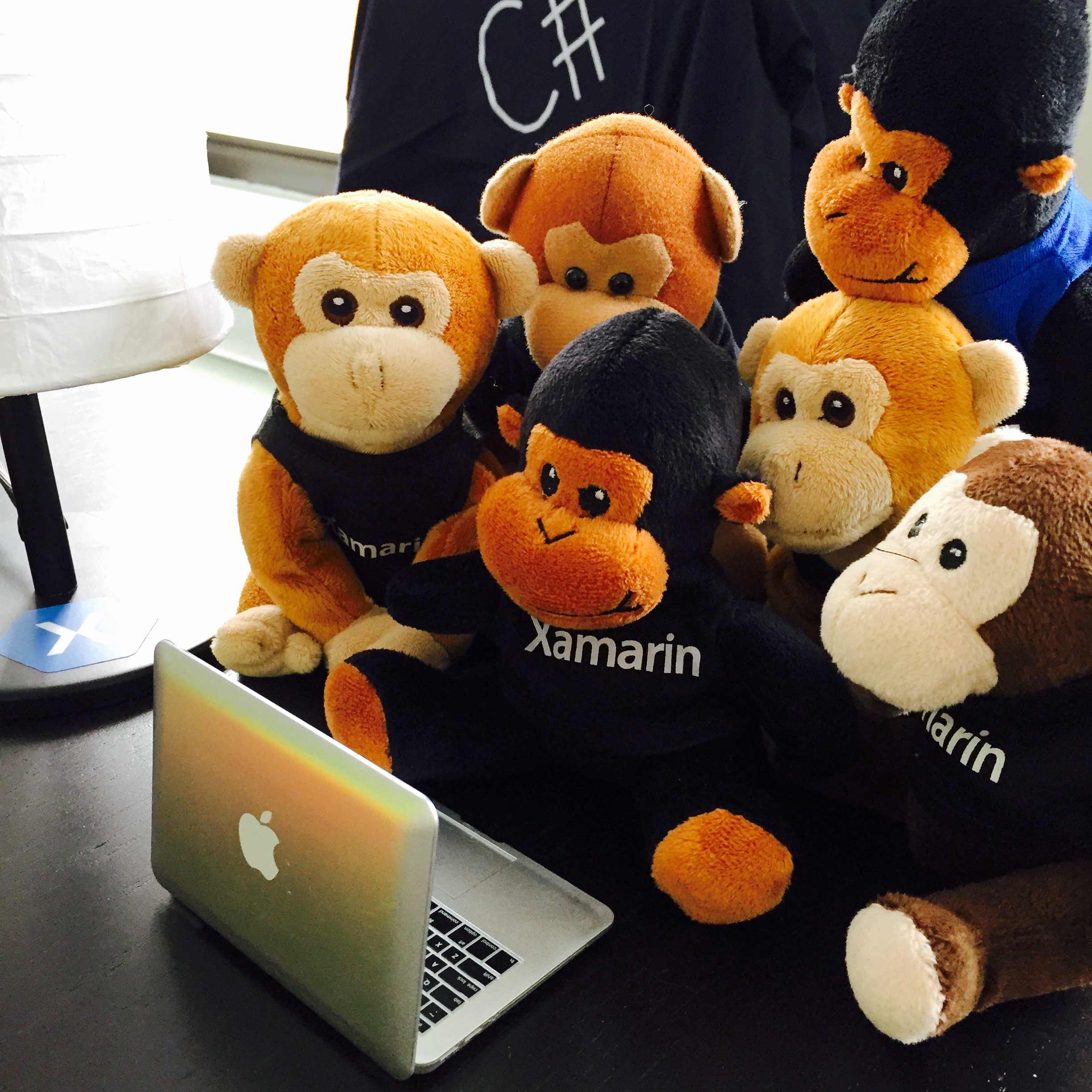 Plush monkeys around a laptop