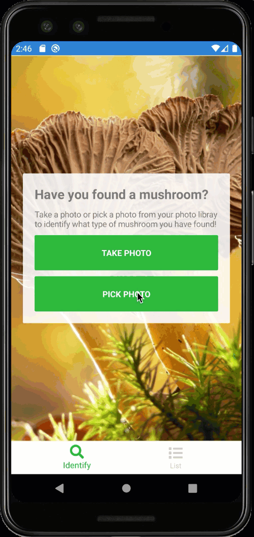 Image Classification Mushrooms
